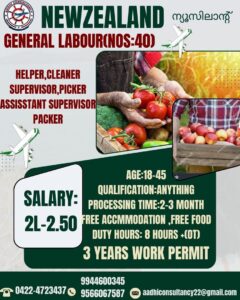 WhatsApp Image 2025-11-18 at 4.32.09 PM (1)